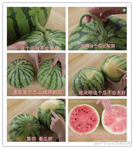 吃瓜视频风景线在线观看,在线领略风景线魅力