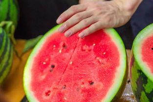 湖南高校吃瓜视频,揭秘校园生活幕后趣闻