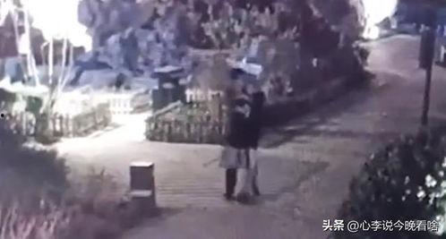 保定唐县吃瓜事件视频播放,网络热议背后的真相揭秘